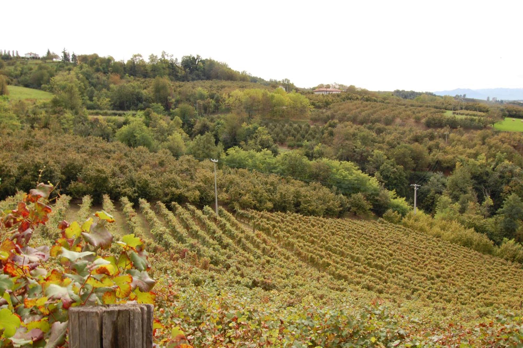 Agriturismo 'D Raine Montelupo Albese Buitenkant foto